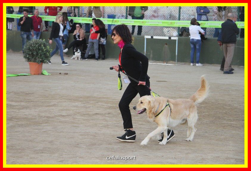 180311 mostra_canina 176.jpg